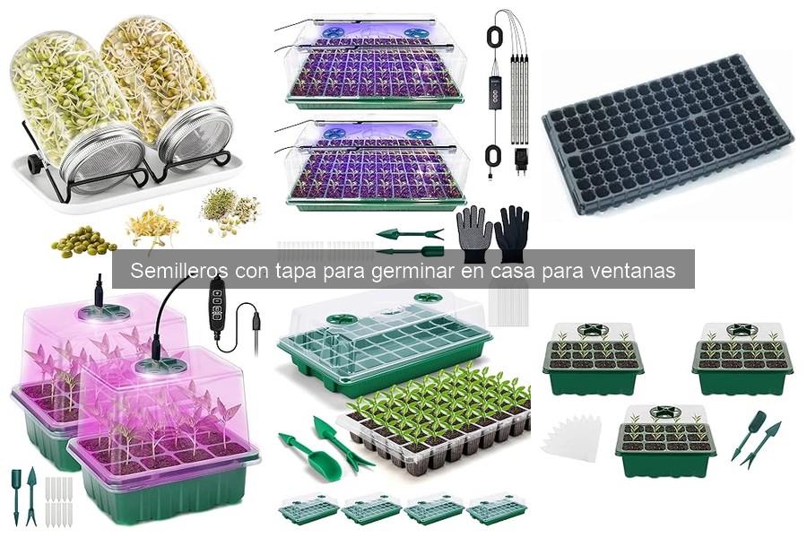 Cómo usar y mantener semilleros con tapa en casa