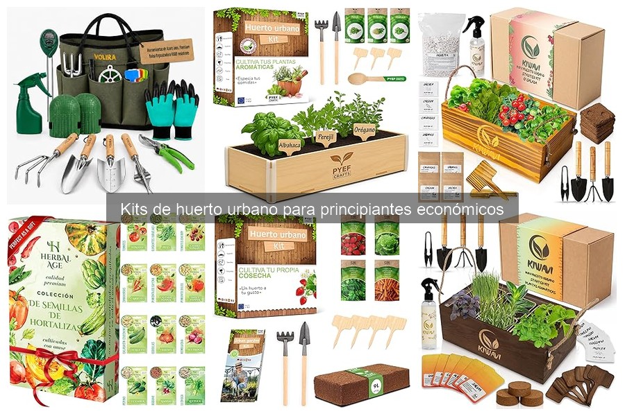 Cómo usar y mantener tu kit de huerto urbano para principiantes