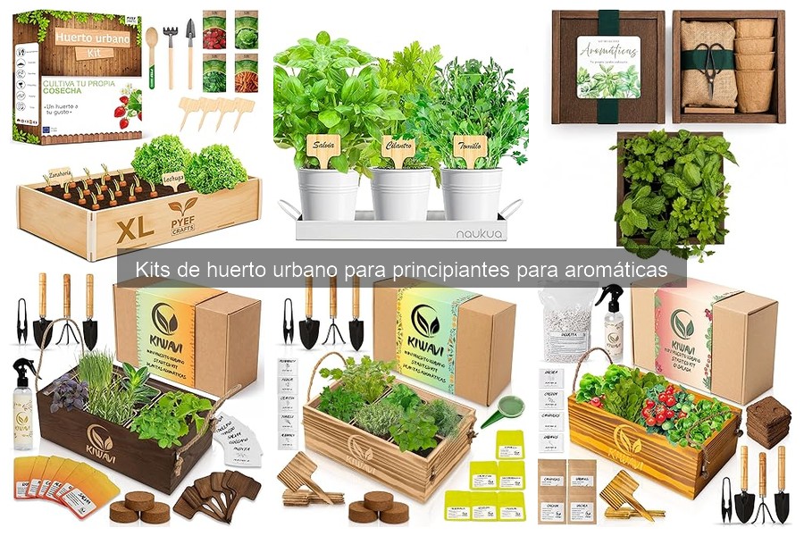 Cómo Usar y Mantener un Kit de Huerto Urbano para Aromáticas