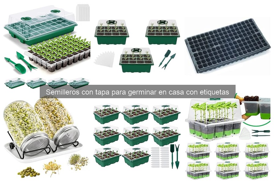 Cómo usar y mantener un semillero con tapa en casa