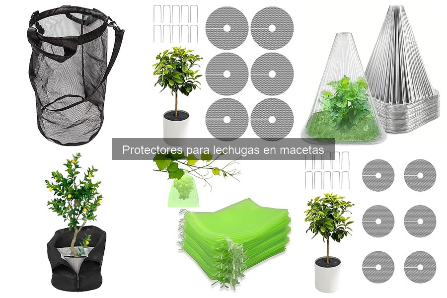 Cómo utilizar protectores para lechugas en macetas efectivamente