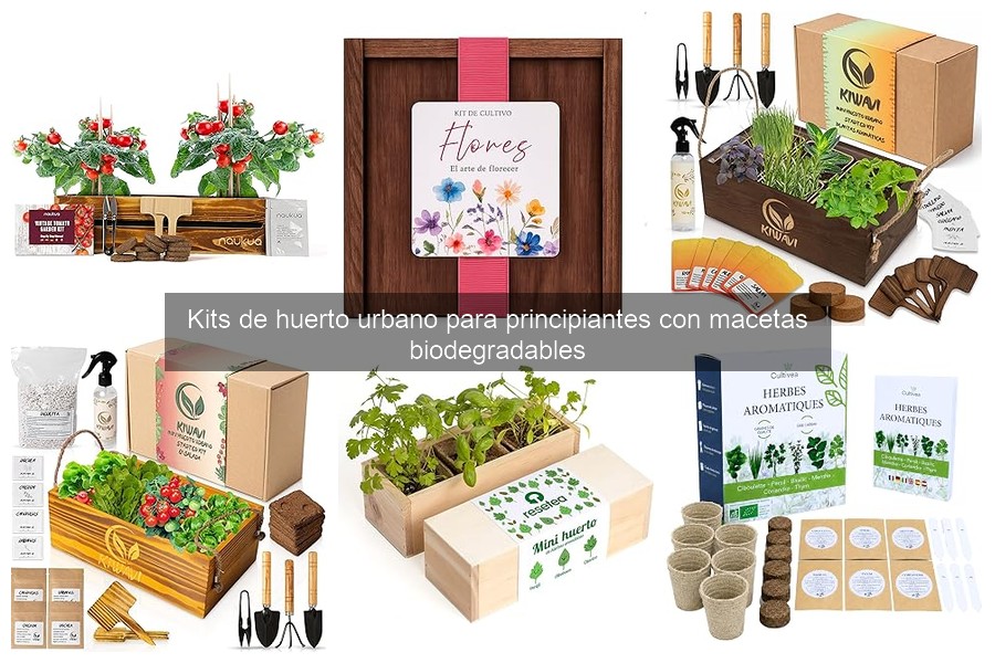 Cómo utilizar un kit de huerto urbano para principiantes
