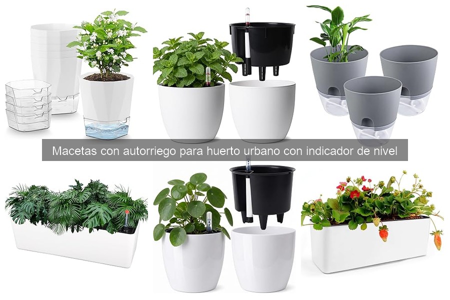 Comparativa de las Mejores Macetas con Autorriego para Huerto Urbano