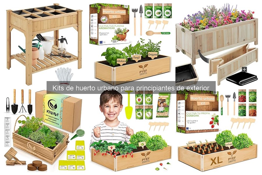 Comparativa de los Mejores Kits de Huerto Urbano para Principiantes