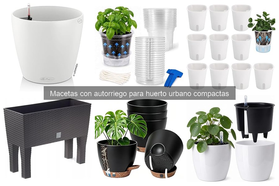 Comparativa de Macetas con Autorriego para Huertos Urbanos