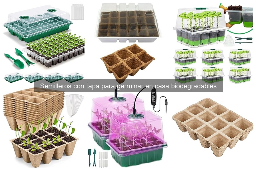 Comparativa de Semilleros Biodegradables para Germinar en Casa