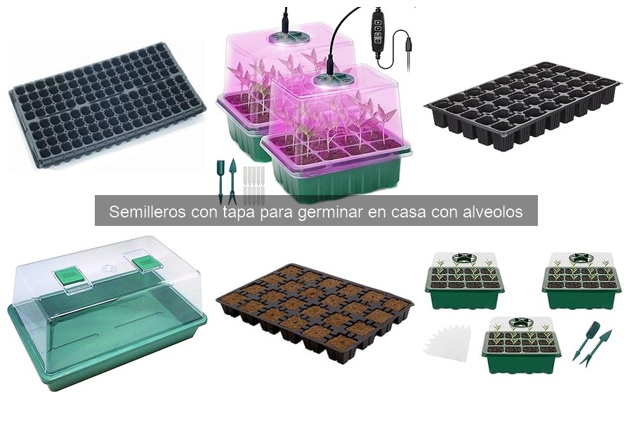Comparativa de Semilleros con Tapa para Cultivo en Casa