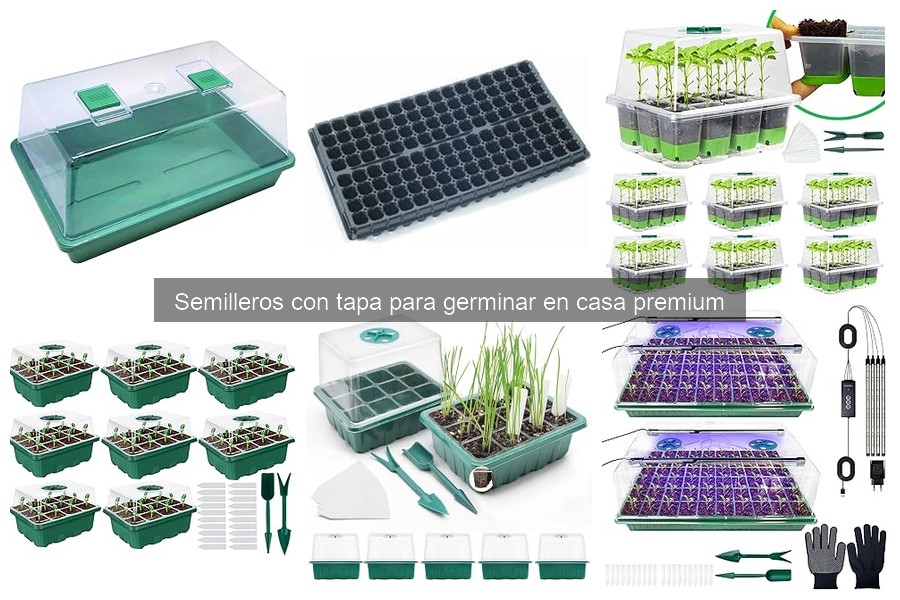 Comparativa de Semilleros con Tapa Premium: Mejores Opciones 2026