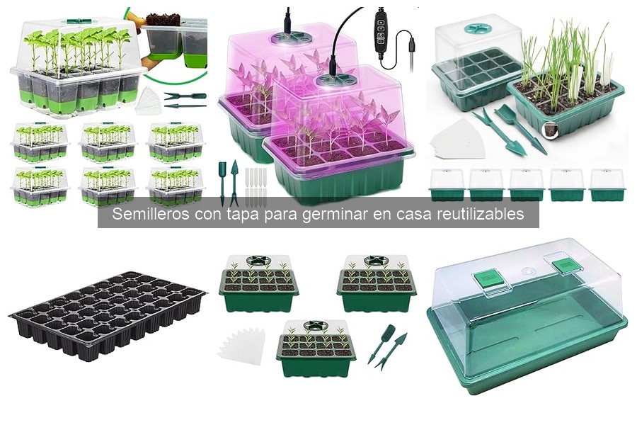 Comparativa de Semilleros con Tapa Reutilizables 2023