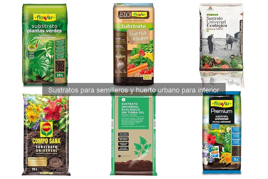 Comparativa de sustratos: Huerto urbano vs. Interior