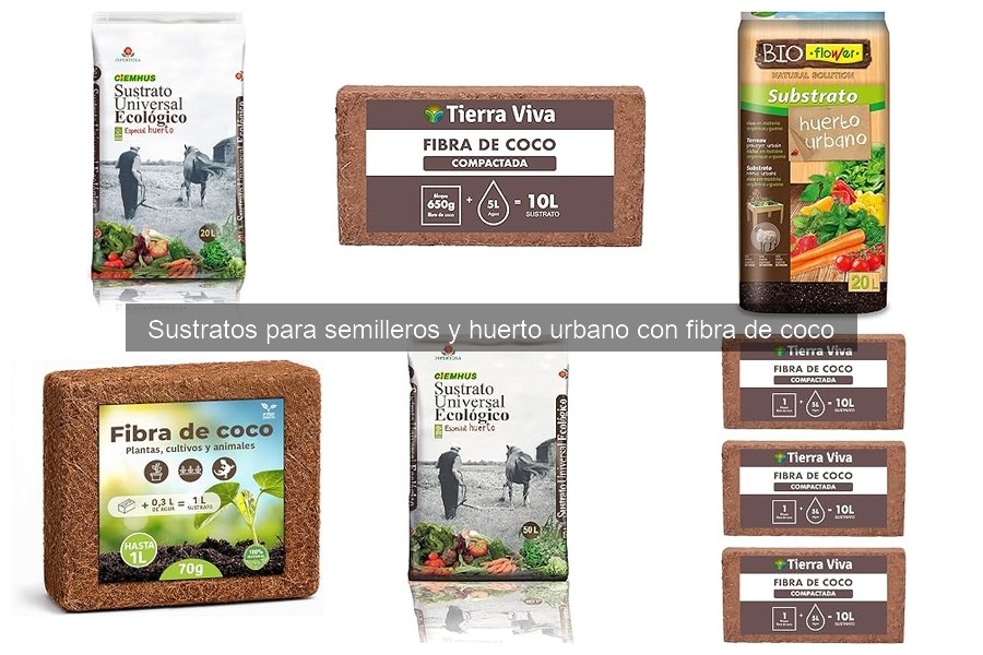 Comparativa: fibra de coco vs. turba para semilleros