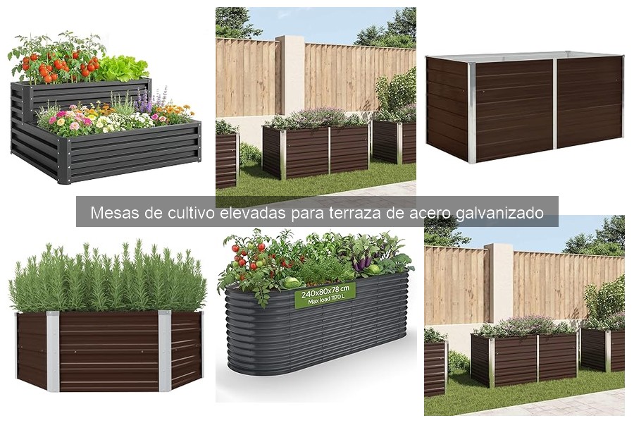 Comparativa: Mesas de Cultivo Elevadas vs Tradicionales