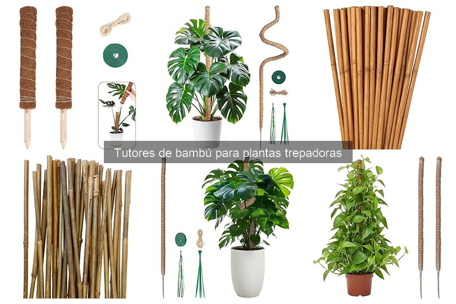 Comparativa: Tutores de Bambú vs. Otros Tipos para Trepadoras