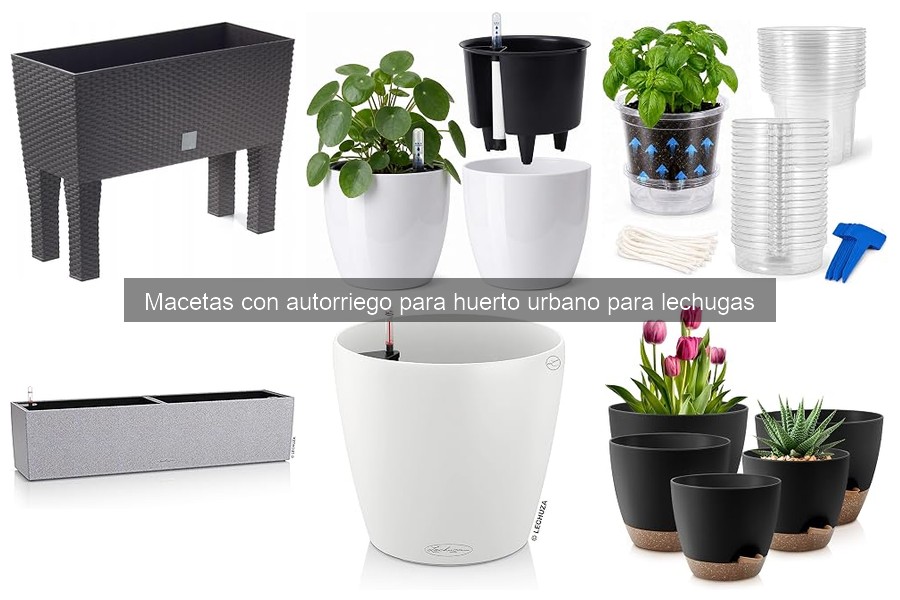 Consejos para Instalar y Mantener Macetas con Autorriego