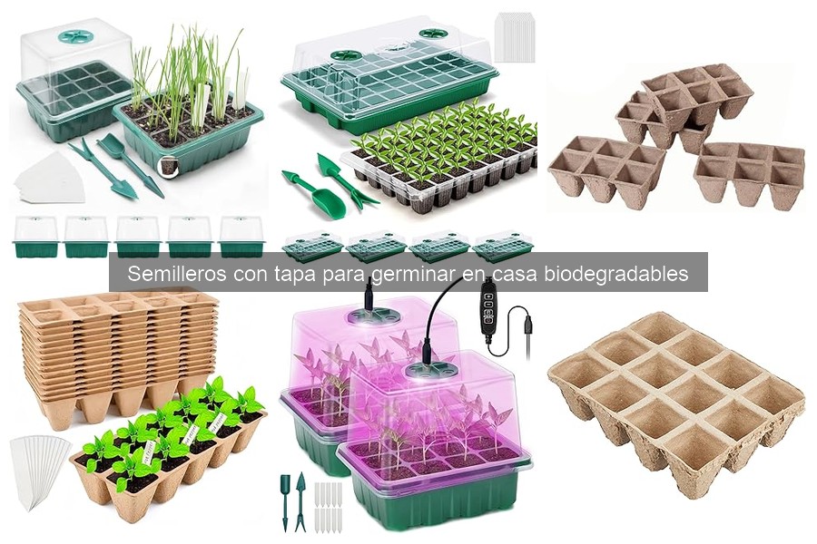 Elige el mejor semillero biodegradable para germinar en casa