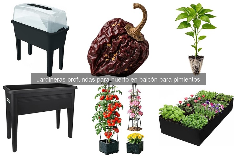 Errores comunes al cultivar pimientos en jardineras profundas