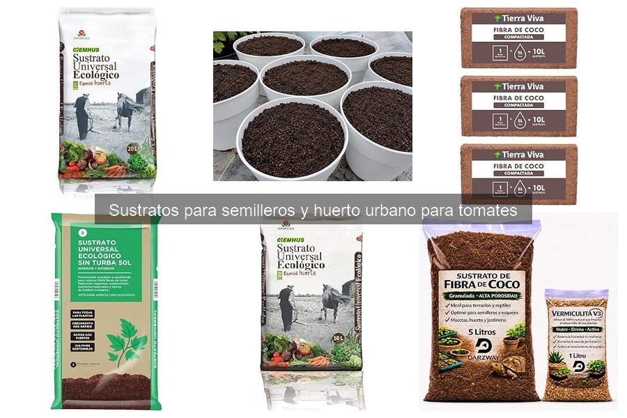 ** Errores comunes al elegir sustrato para tomates en semilleros