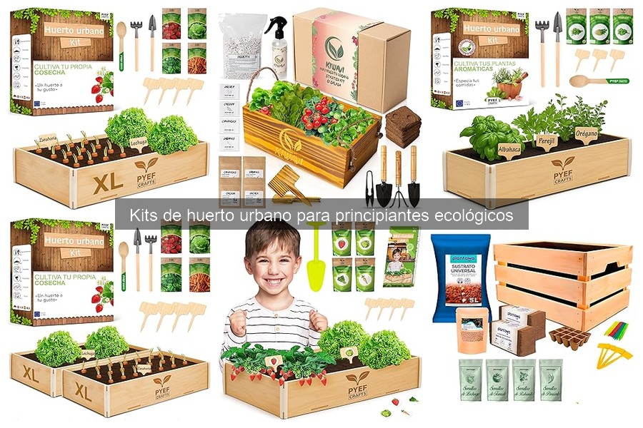 Errores comunes al iniciar un huerto urbano ecológico