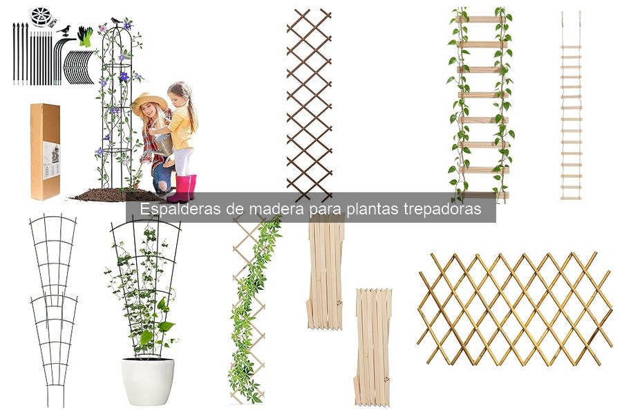 Errores comunes al instalar espalderas de madera para plantas