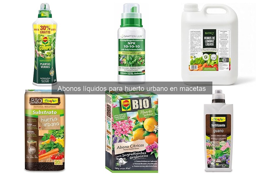 Errores comunes al usar abonos líquidos en macetas