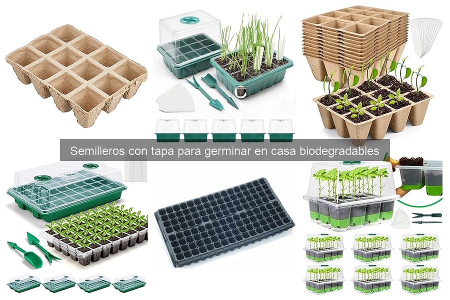 Errores comunes al usar semilleros biodegradables en casa