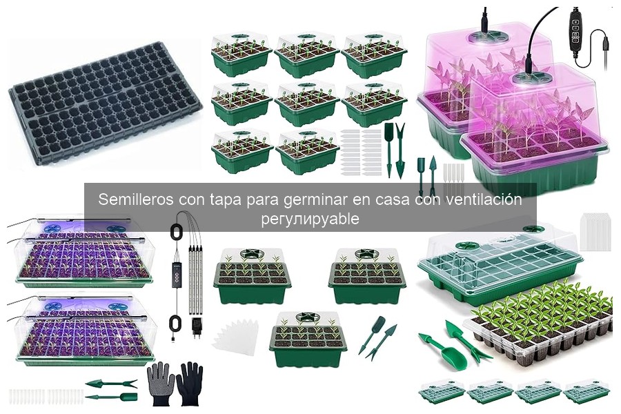 Errores comunes al usar semilleros con tapa y cómo evitarlos