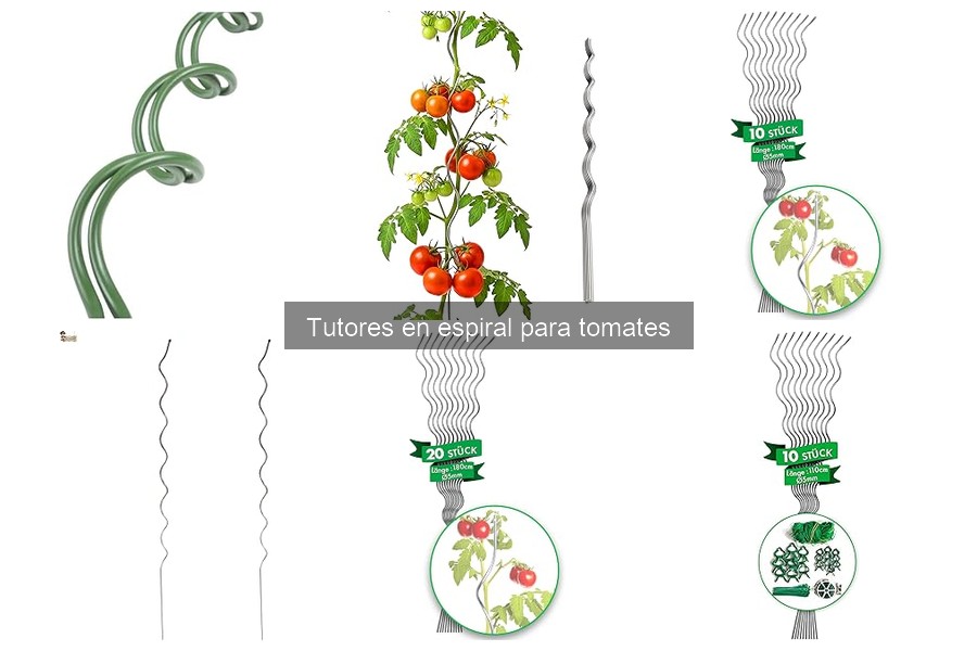 Errores Comunes al Usar Tutores en Espiral para Tomates