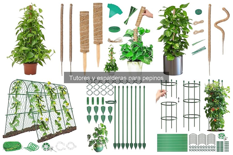 Errores comunes al usar tutores para pepinos y soluciones
