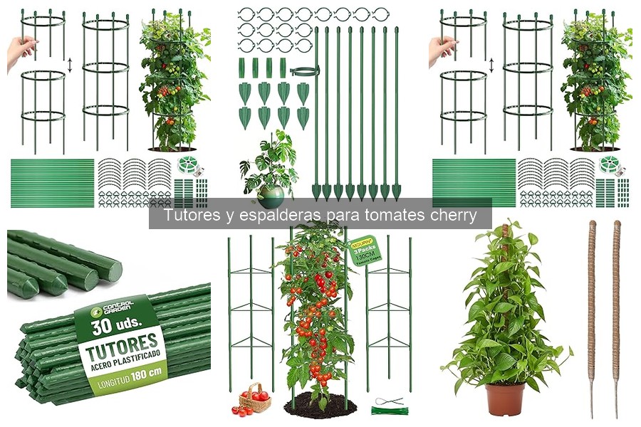 Errores comunes al usar tutores y espalderas para tomates cherry