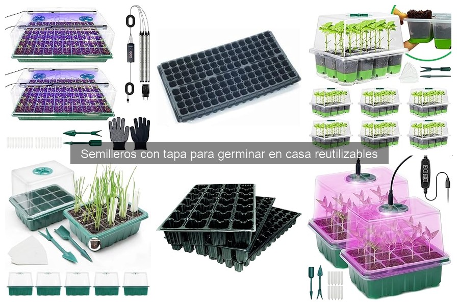 Errores comunes con semilleros reutilizables y sus soluciones