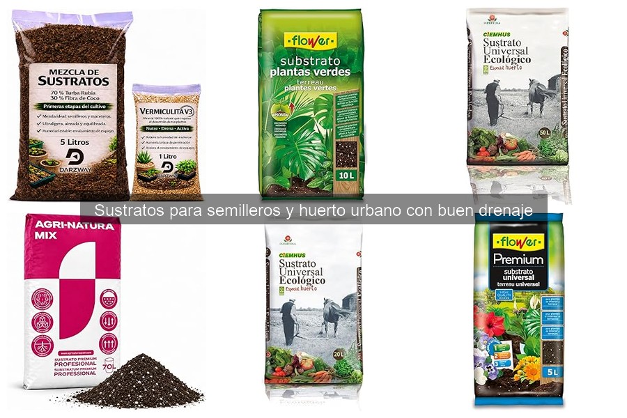 Errores comunes con sustratos para semilleros y soluciones