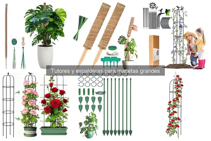 Errores comunes con tutores y espalderas en macetas grandes
