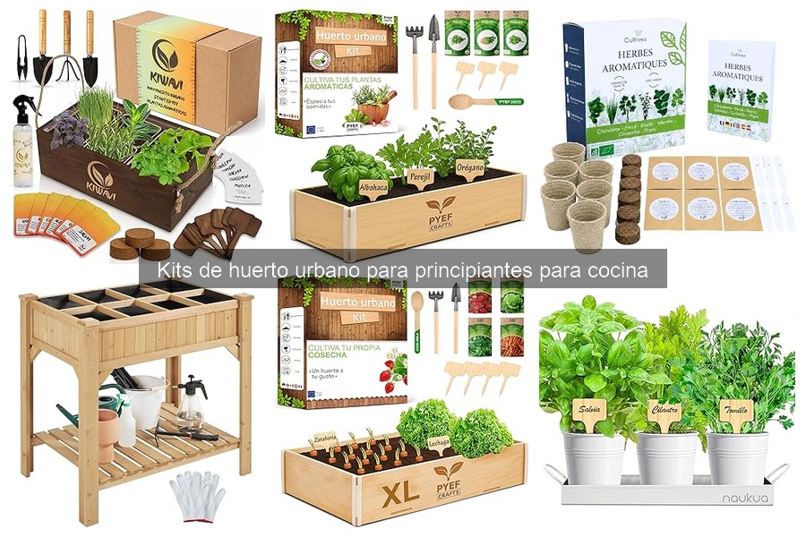 Errores comunes en kits de huerto urbano para principiantes