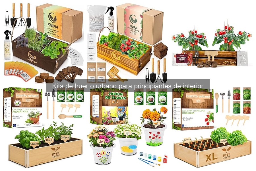 Errores comunes en kits de huerto urbano y sus soluciones