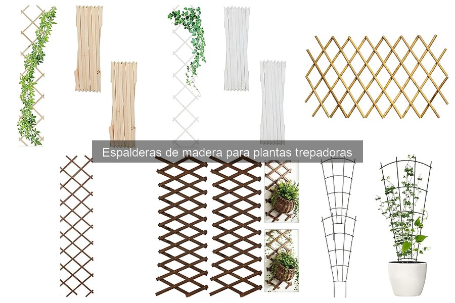 Espalderas de madera para plantas trepadoras: ¿Qué son y sus beneficios?