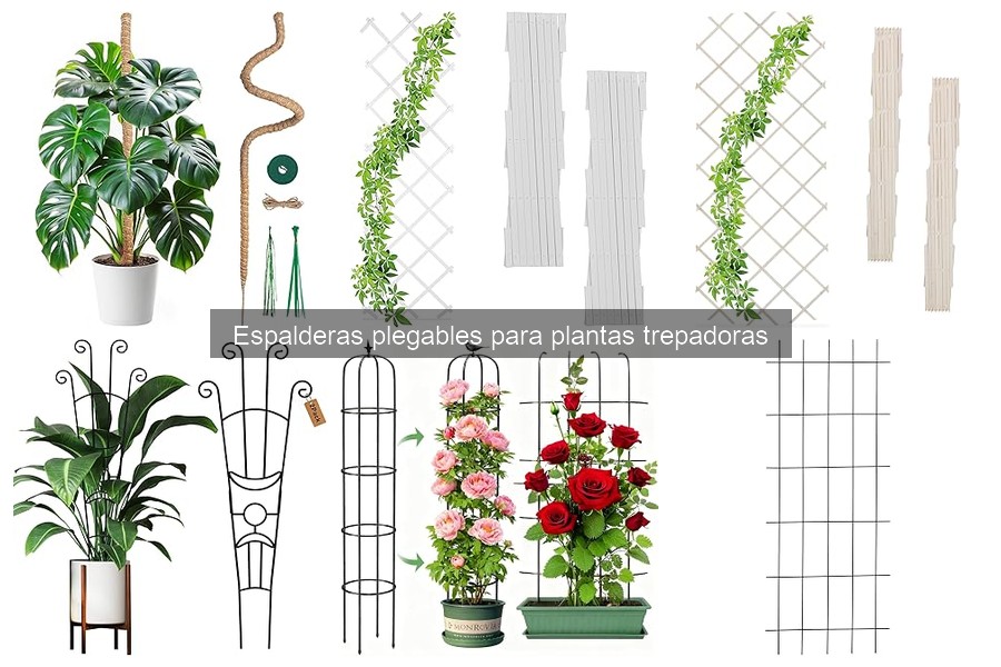 Espalderas Plegables para Plantas Trepadoras: ¿Qué Son?