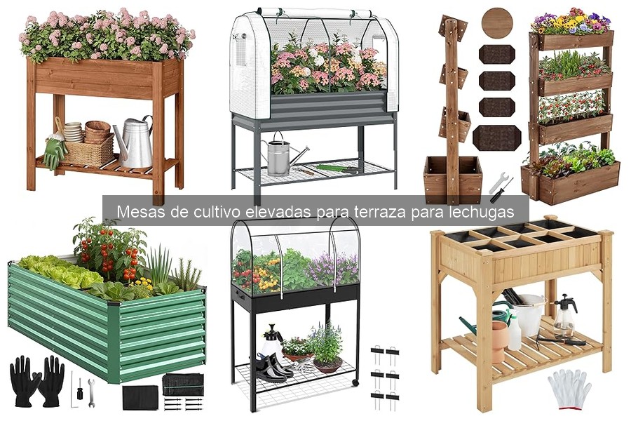 Guía de compra de mesas de cultivo elevadas para lechugas
