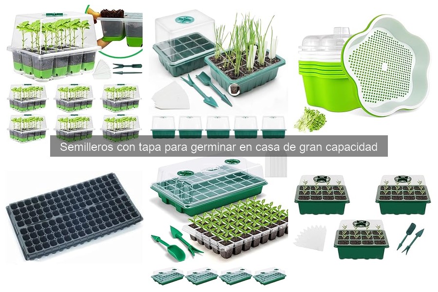 Guía de compra de semilleros con tapa grande para germinar