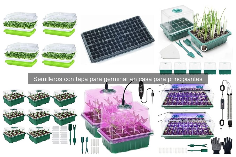 Guía de compra de semilleros con tapa para principiantes