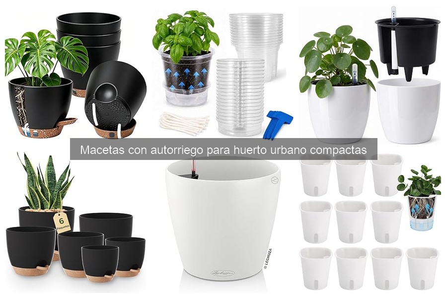 Guía de instalación y cuidado de macetas con autorriego