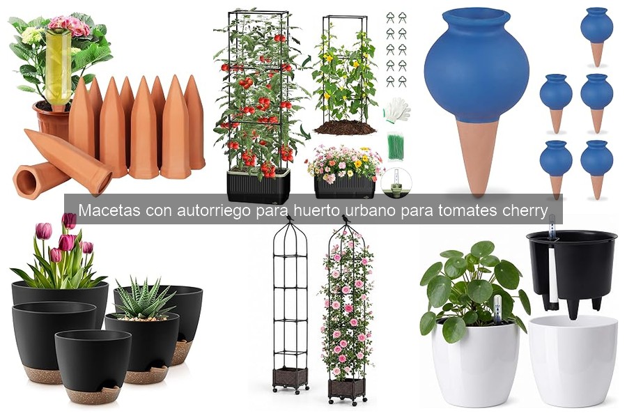 Guía de uso y mantenimiento de macetas con autorriego para tomates