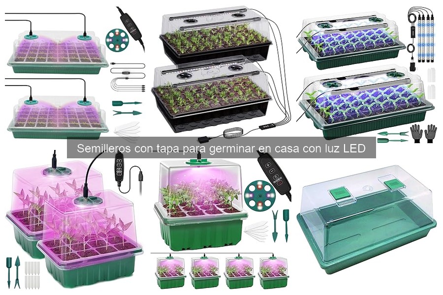 Guía para elegir el mejor semillero con tapa y luz LED