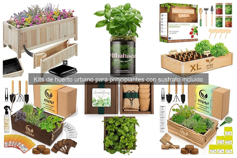 Guía para elegir kits de huerto urbano para principiantes