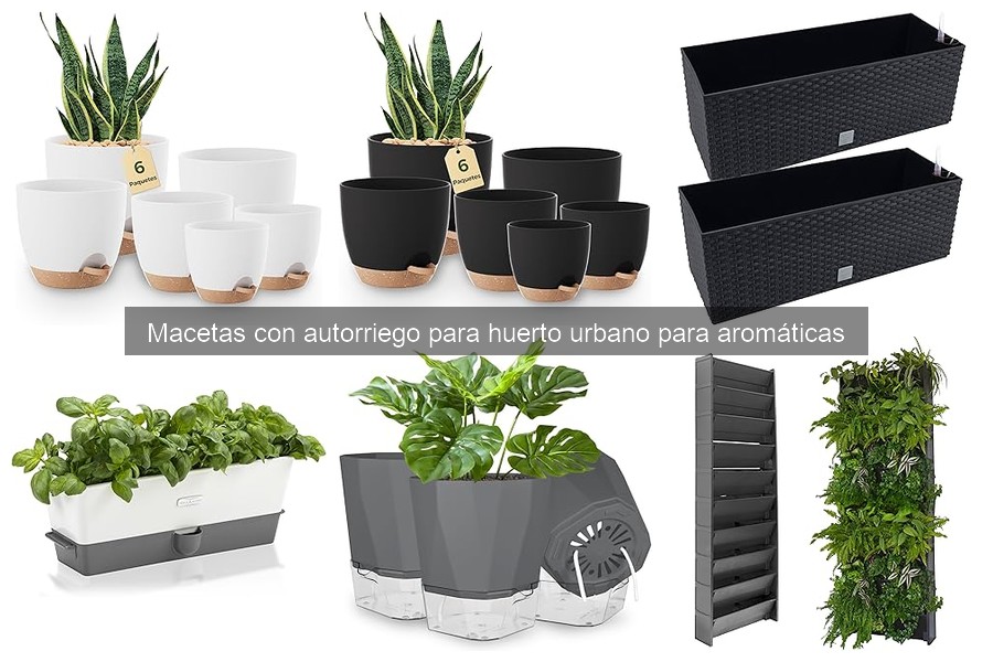 Guía para Elegir Macetas con Autorriego para Aromáticas