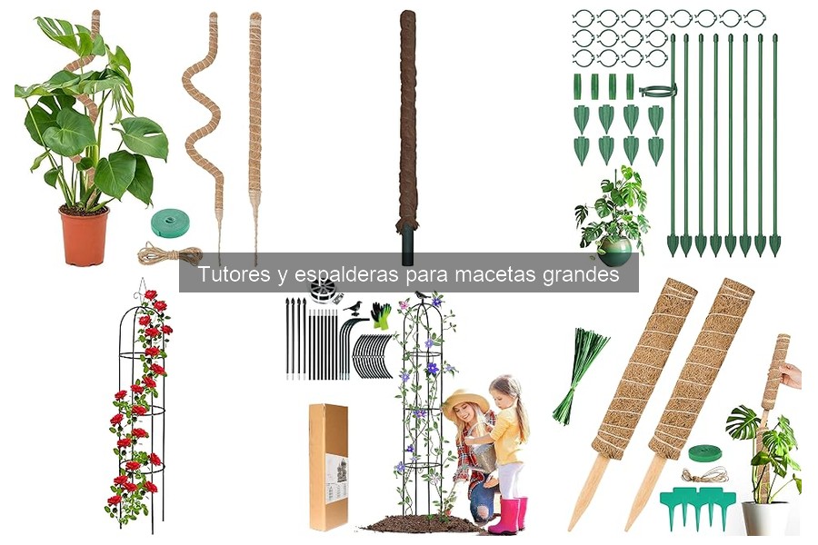 ** Guía para Elegir Tutores y Espalderas Adecuados para Plantas