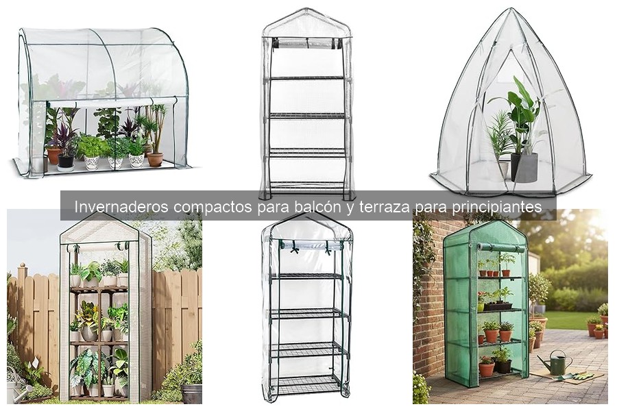 Guía para instalar un invernadero compacto en tu balcón