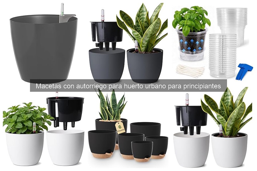 Guía para instalar y mantener macetas con autorriego