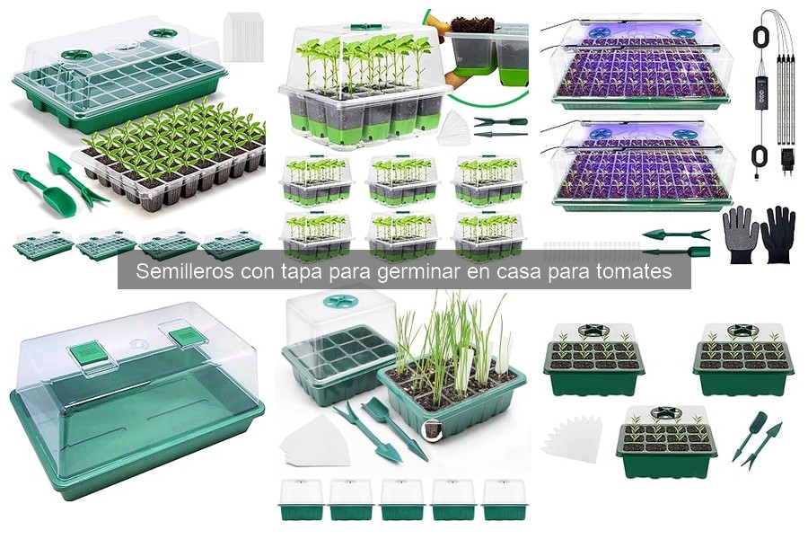 Guía para Usar Semilleros con Tapa y Germinar Tomates