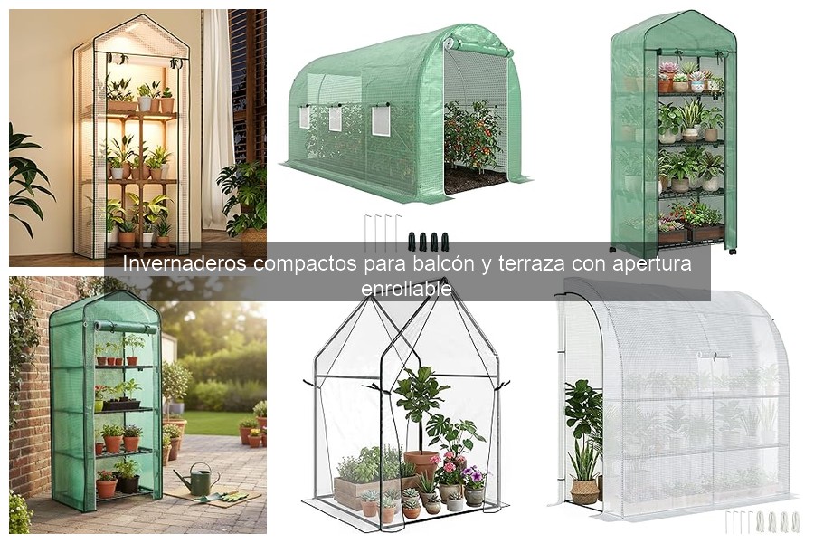 Invernaderos compactos para balcón: ¿Qué son y cómo funcionan?