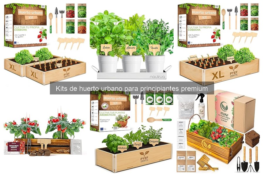 Kit de Huerto Urbano Premium para Principiantes: ¿Qué Incluye?